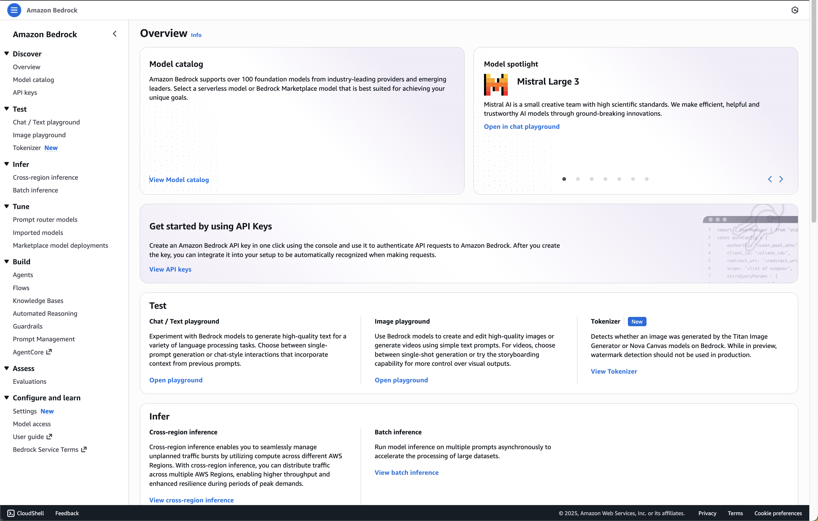 Screenshot of the left panel in the AWS console where Bedrock model access is provided.