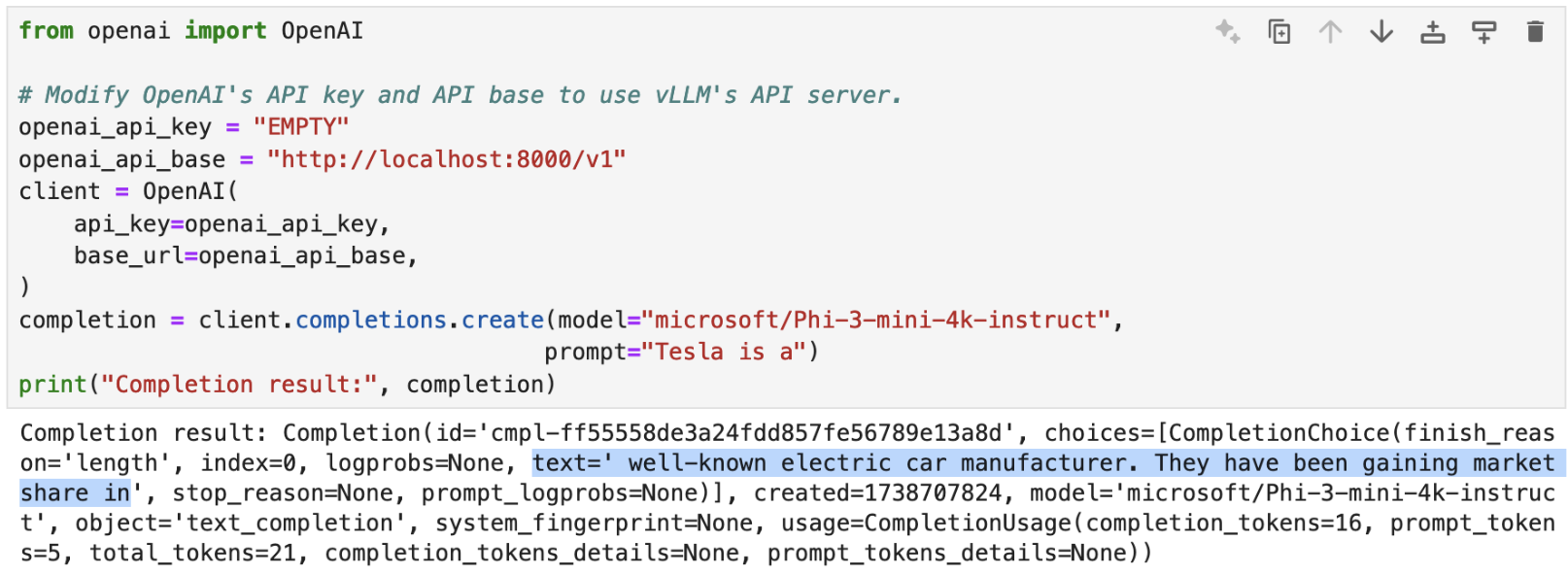 Screen shot of using vllm programmatically with its API.