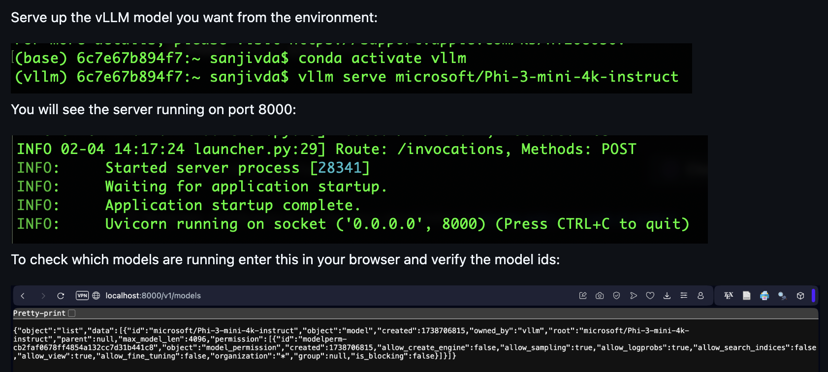 Screen shot of steps and checks in deploying a model using vllm.