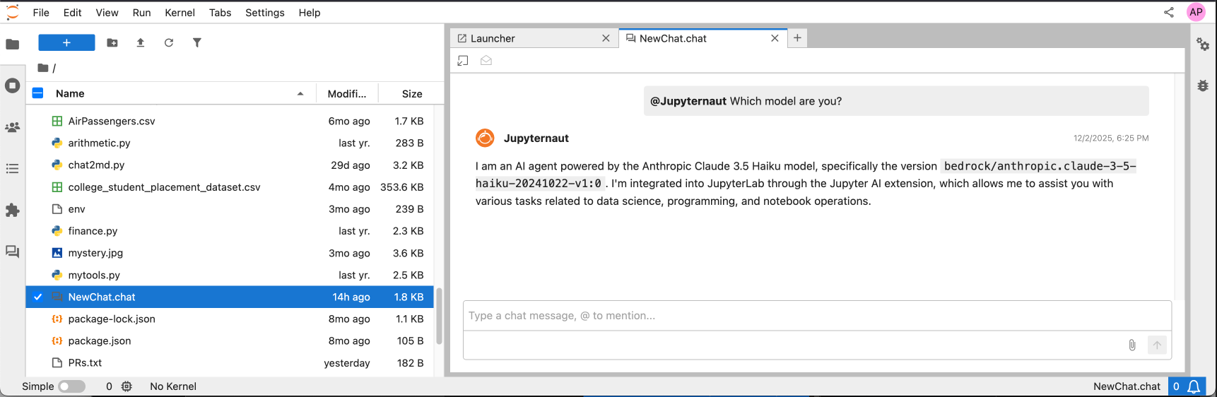 Screen shot of the chat doc